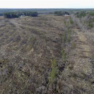 Photo of SOLD!  44.5 Acres of Hunting and Recreational Land For Sale in Lunenburg County VA!