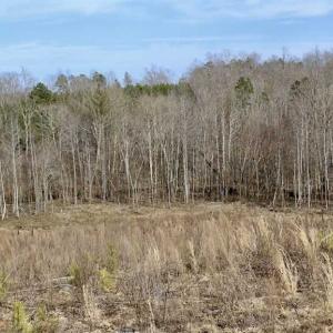 Photo of SOLD!  44.5 Acres of Hunting and Recreational Land For Sale in Lunenburg County VA!