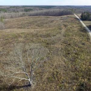 Photo of SOLD!  44.5 Acres of Hunting and Recreational Land For Sale in Lunenburg County VA!