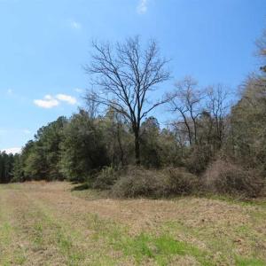Photo of SOLD!  39 Acres of Timber and Hunting Land For Sale in Cumberland County NC!