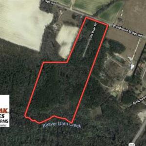 Photo of SOLD!  39 Acres of Timber and Hunting Land For Sale in Cumberland County NC!