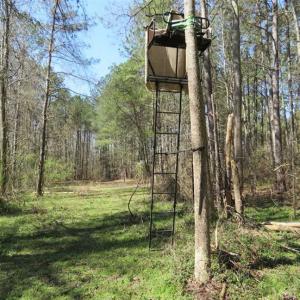 Photo of SOLD!  39 Acres of Timber and Hunting Land For Sale in Cumberland County NC!