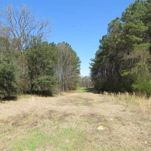 Photo of SOLD!  39 Acres of Timber and Hunting Land For Sale in Cumberland County NC!