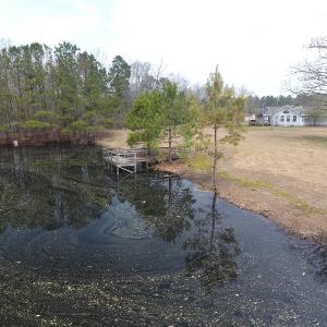 Photo of UNDER CONTRACT!  19.49 Acres of Residential Farm Land with House For Sale in Bladen County NC!
