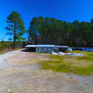 Photo of UNDER CONTRACT!  352 Acres of Timber and Recreational Land For Sale in Pamlico County NC!