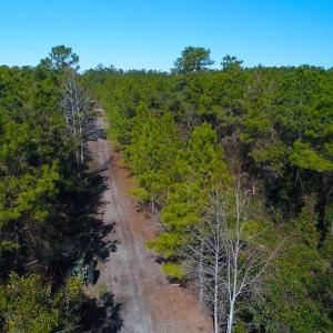 Photo of UNDER CONTRACT!  352 Acres of Timber and Recreational Land For Sale in Pamlico County NC!