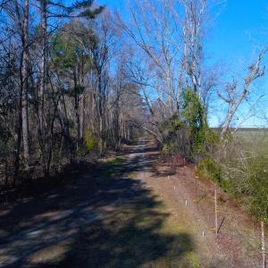 Photo of UNDER CONTRACT!  352 Acres of Timber and Recreational Land For Sale in Pamlico County NC!