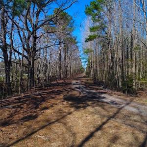Photo of UNDER CONTRACT!  352 Acres of Timber and Recreational Land For Sale in Pamlico County NC!