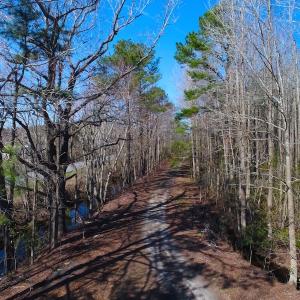 Photo of UNDER CONTRACT!  352 Acres of Timber and Recreational Land For Sale in Pamlico County NC!