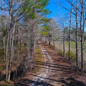 Photo of UNDER CONTRACT!  352 Acres of Timber and Recreational Land For Sale in Pamlico County NC!