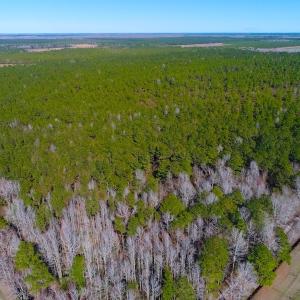 Photo of UNDER CONTRACT!  352 Acres of Timber and Recreational Land For Sale in Pamlico County NC!