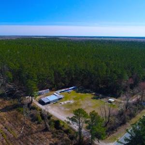 Photo of UNDER CONTRACT!  352 Acres of Timber and Recreational Land For Sale in Pamlico County NC!