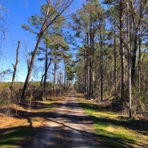 Photo of UNDER CONTRACT!  352 Acres of Timber and Recreational Land For Sale in Pamlico County NC!