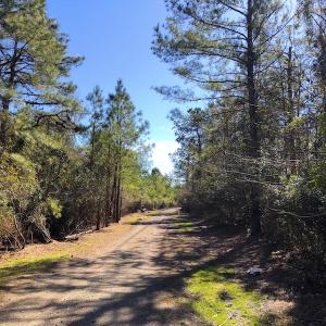 Photo of UNDER CONTRACT!  352 Acres of Timber and Recreational Land For Sale in Pamlico County NC!