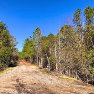 Photo of UNDER CONTRACT!  352 Acres of Timber and Recreational Land For Sale in Pamlico County NC!