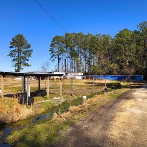 Photo of UNDER CONTRACT!  352 Acres of Timber and Recreational Land For Sale in Pamlico County NC!