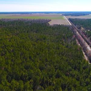 Photo of UNDER CONTRACT!  352 Acres of Timber and Recreational Land For Sale in Pamlico County NC!