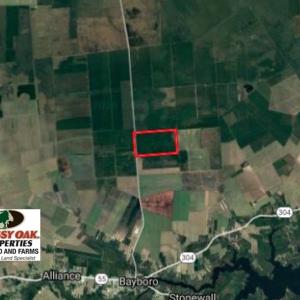 Photo of UNDER CONTRACT!  352 Acres of Timber and Recreational Land For Sale in Pamlico County NC!