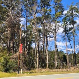 Photo of SOLD!!  0.826 Acre Vacant Lot For Sale in Pamlico County NC!