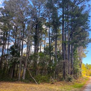Photo of UNDER CONTRACT!  0.718 Acre Vacant Lot For Sale in Pamlico County NC!