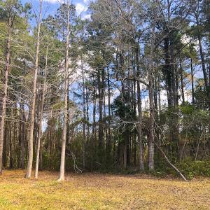 Photo of UNDER CONTRACT!  0.718 Acre Vacant Lot For Sale in Pamlico County NC!
