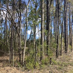 Photo of UNDER CONTRACT!  0.718 Acre Vacant Lot For Sale in Pamlico County NC!