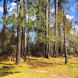 Photo of UNDER CONTRACT!  0.718 Acre Vacant Lot For Sale in Pamlico County NC!