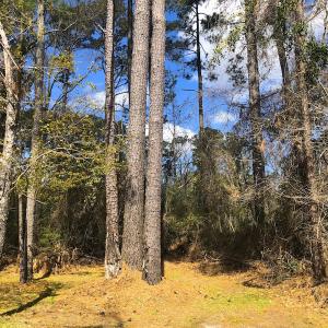 Photo of UNDER CONTRACT!  0.718 Acre Vacant Lot For Sale in Pamlico County NC!