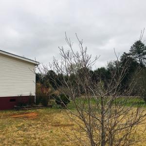 Photo of SOLD!  2 Acres of Residential Land with Home in Lunenburg County VA!