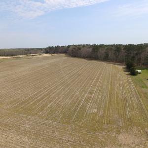 Photo of UNDER CONTRACT!  24 Acres of Farm and Timber Land For Sale in Isle of Wight County VA!