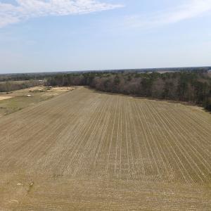 Photo of UNDER CONTRACT!  24 Acres of Farm and Timber Land For Sale in Isle of Wight County VA!