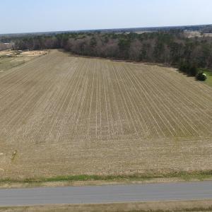 Photo of UNDER CONTRACT!  24 Acres of Farm and Timber Land For Sale in Isle of Wight County VA!