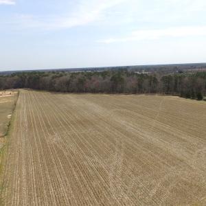 Photo of UNDER CONTRACT!  24 Acres of Farm and Timber Land For Sale in Isle of Wight County VA!