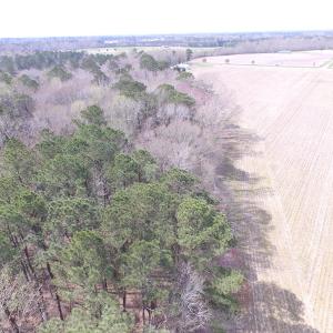 Photo of UNDER CONTRACT!  24 Acres of Farm and Timber Land For Sale in Isle of Wight County VA!
