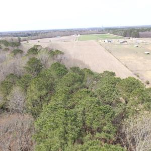 Photo of UNDER CONTRACT!  24 Acres of Farm and Timber Land For Sale in Isle of Wight County VA!