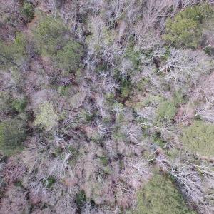 Photo of UNDER CONTRACT!  24 Acres of Farm and Timber Land For Sale in Isle of Wight County VA!