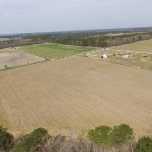 Photo of UNDER CONTRACT!  24 Acres of Farm and Timber Land For Sale in Isle of Wight County VA!