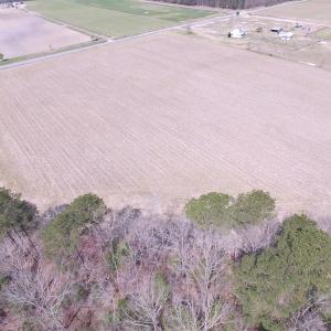 Photo of UNDER CONTRACT!  24 Acres of Farm and Timber Land For Sale in Isle of Wight County VA!