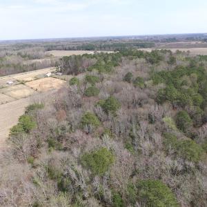 Photo of UNDER CONTRACT!  24 Acres of Farm and Timber Land For Sale in Isle of Wight County VA!