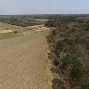 Photo of UNDER CONTRACT!  24 Acres of Farm and Timber Land For Sale in Isle of Wight County VA!