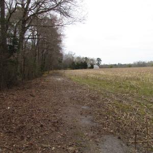 Photo of UNDER CONTRACT!  24 Acres of Farm and Timber Land For Sale in Isle of Wight County VA!