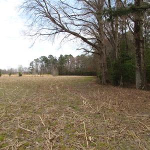 Photo of UNDER CONTRACT!  24 Acres of Farm and Timber Land For Sale in Isle of Wight County VA!