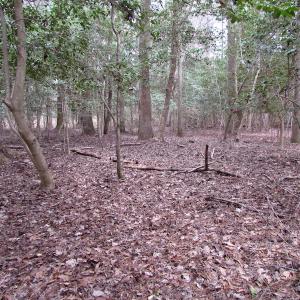 Photo of UNDER CONTRACT!  24 Acres of Farm and Timber Land For Sale in Isle of Wight County VA!