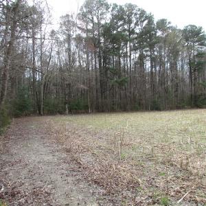 Photo of UNDER CONTRACT!  24 Acres of Farm and Timber Land For Sale in Isle of Wight County VA!