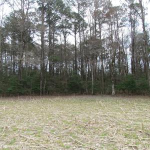 Photo of UNDER CONTRACT!  24 Acres of Farm and Timber Land For Sale in Isle of Wight County VA!