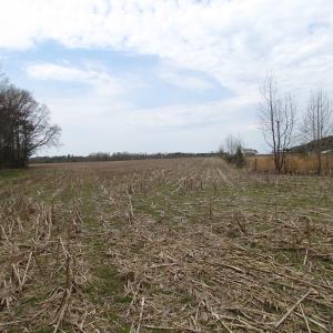 Photo of UNDER CONTRACT!  24 Acres of Farm and Timber Land For Sale in Isle of Wight County VA!