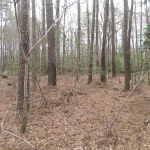 Photo of UNDER CONTRACT!  24 Acres of Farm and Timber Land For Sale in Isle of Wight County VA!