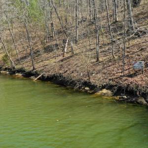 Photo of REDUCED!  5.4 Acres of Waterfront Recreational Land For Sale in Bedford County VA!