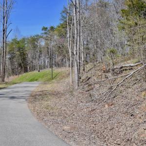 Photo of REDUCED!  5.4 Acres of Waterfront Recreational Land For Sale in Bedford County VA!