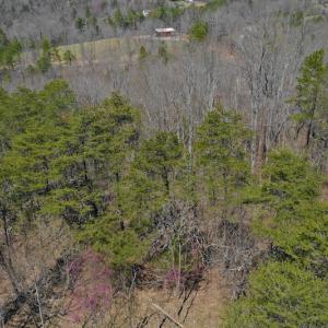 Photo of REDUCED!  5.4 Acres of Waterfront Recreational Land For Sale in Bedford County VA!